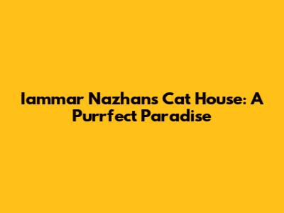 Iammar Nazhan's Cat House: A Purrfect Paradise