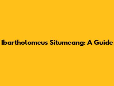 Ibartholomeus Situmeang: A Guide