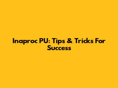 Inaproc PU: Tips & Tricks For Success