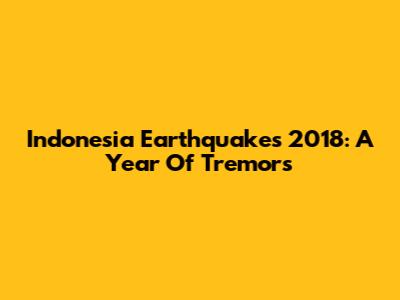Indonesia Earthquakes 2018: A Year Of Tremors