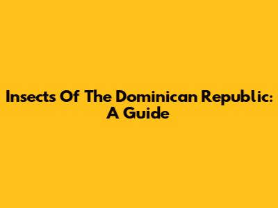 Insects Of The Dominican Republic: A Guide