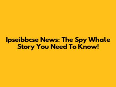 Ipseibbcse News: The Spy Whale Story You Need To Know!