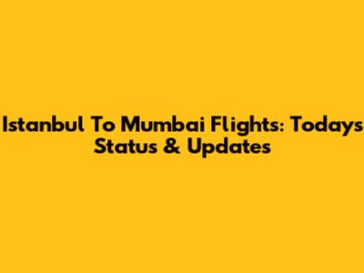 Istanbul To Mumbai Flights: Today's Status & Updates