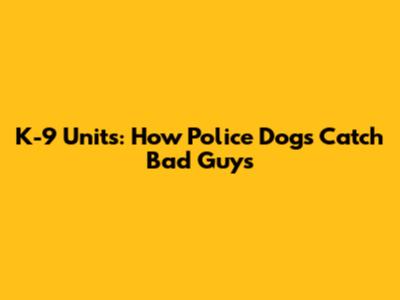 K-9 Units: How Police Dogs Catch Bad Guys