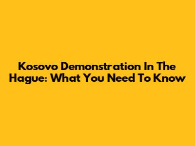 Kosovo Demonstration In The Hague: What You Need To Know