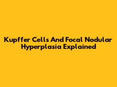 Kupffer Cells And Focal Nodular Hyperplasia Explained