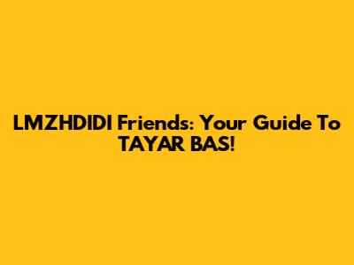 LMZHDIDI Friends: Your Guide To TAYAR BAS!