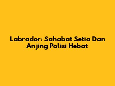 Labrador: Sahabat Setia Dan Anjing Polisi Hebat