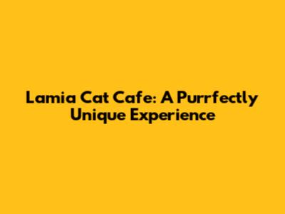 Lamia Cat Cafe: A Purrfectly Unique Experience