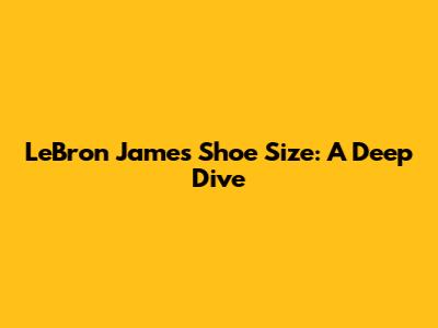 LeBron James Shoe Size: A Deep Dive