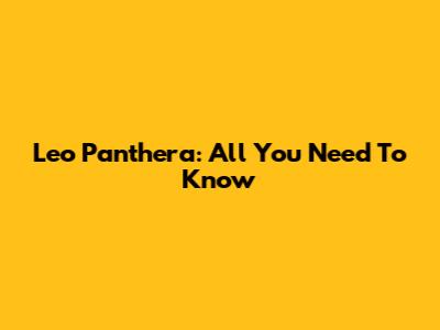 Leo Panthera: All You Need To Know