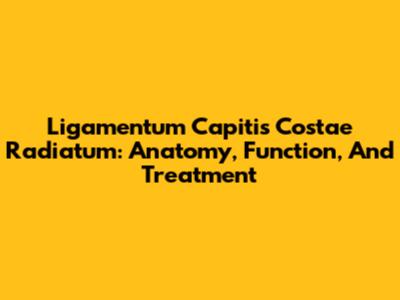 Ligamentum Capitis Costae Radiatum: Anatomy, Function, And Treatment