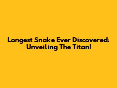 Longest Snake Ever Discovered: Unveiling The Titan!