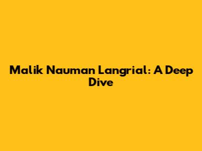 Malik Nauman Langrial: A Deep Dive
