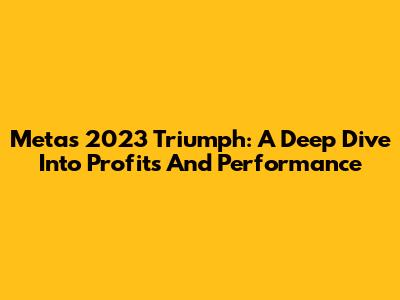Meta's 2023 Triumph: A Deep Dive Into Profits And Performance