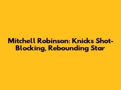 Mitchell Robinson: Knicks' Shot-Blocking, Rebounding Star
