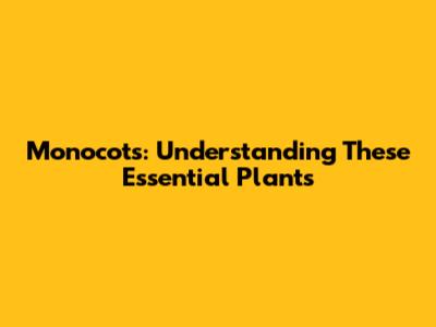 Monocots: Understanding These Essential Plants
