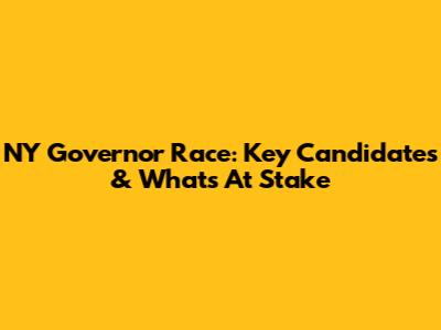NY Governor Race: Key Candidates & What's At Stake