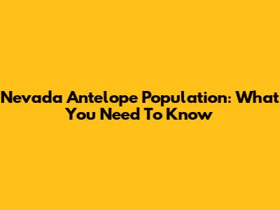 Nevada Antelope Population: What You Need To Know