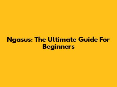 Ngasus: The Ultimate Guide For Beginners
