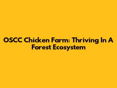 OSCC Chicken Farm: Thriving In A Forest Ecosystem