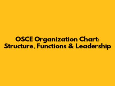 OSCE Organization Chart: Structure, Functions & Leadership