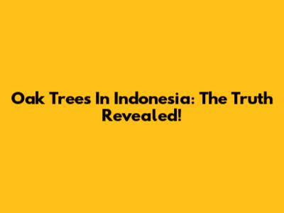 Oak Trees In Indonesia: The Truth Revealed!