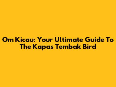 Om Kicau: Your Ultimate Guide To The Kapas Tembak Bird
