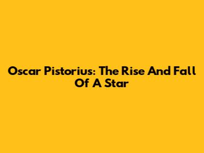 Oscar Pistorius: The Rise And Fall Of A Star
