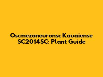 Oscmezoneuronsc Kauaiense SC2014SC: Plant Guide