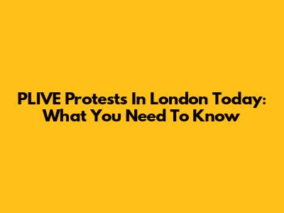PLIVE Protests In London Today: What You Need To Know