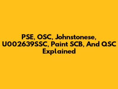 PSE, OSC, Johnstonese, U002639SSC, Paint SCB, And QSC Explained