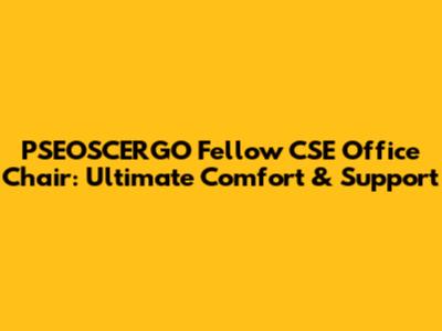 PSEOSCERGO Fellow CSE Office Chair: Ultimate Comfort & Support
