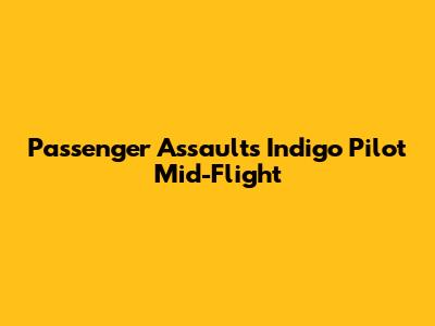 Passenger Assaults Indigo Pilot Mid-Flight