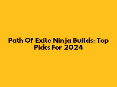 Path Of Exile Ninja Builds: Top Picks For 2024