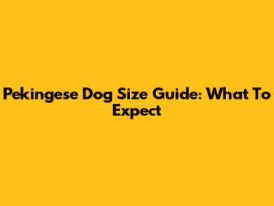 Pekingese Dog Size Guide: What To Expect