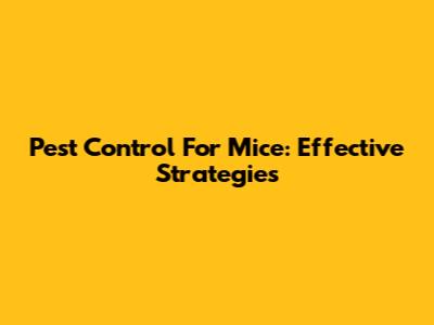 Pest Control For Mice: Effective Strategies