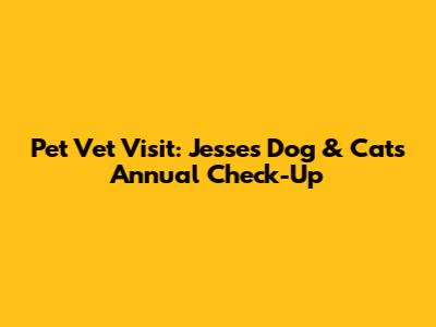 Pet Vet Visit: Jesse's Dog & Cat's Annual Check-Up