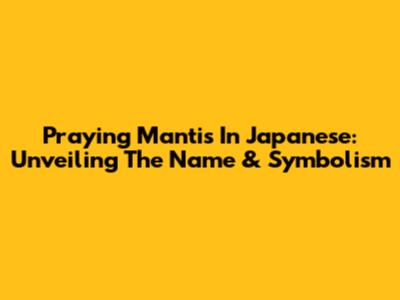 Praying Mantis In Japanese: Unveiling The Name & Symbolism