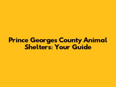 Prince George's County Animal Shelters: Your Guide