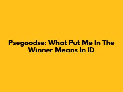 Psegoodse: What 'Put Me In The Winner' Means In ID