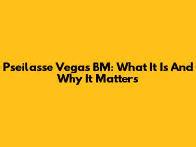 Pseilasse Vegas BM: What It Is And Why It Matters