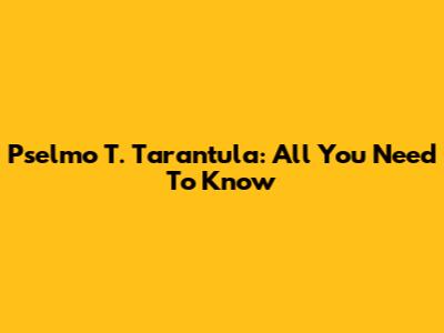 Pselmo T. Tarantula: All You Need To Know