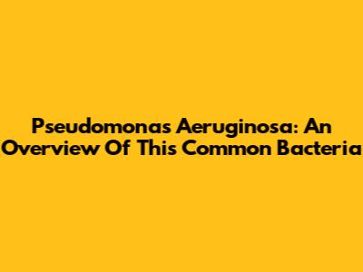 Pseudomonas Aeruginosa: An Overview Of This Common Bacteria