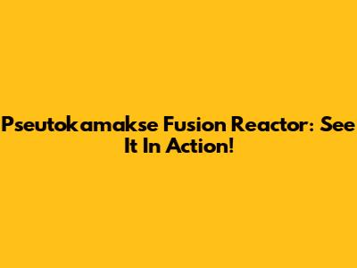 Pseutokamakse Fusion Reactor: See It In Action!