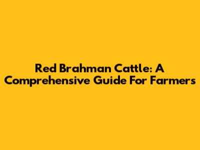 Red Brahman Cattle: A Comprehensive Guide For Farmers