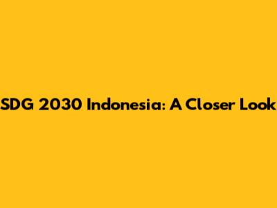 SDG 2030 Indonesia: A Closer Look