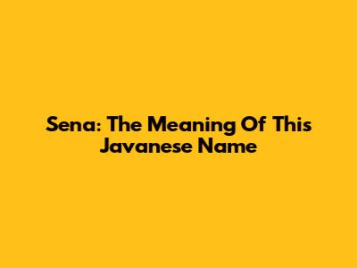 Sena: The Meaning Of This Javanese Name