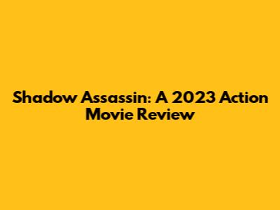 Shadow Assassin: A 2023 Action Movie Review
