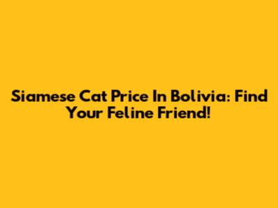Siamese Cat Price In Bolivia: Find Your Feline Friend!